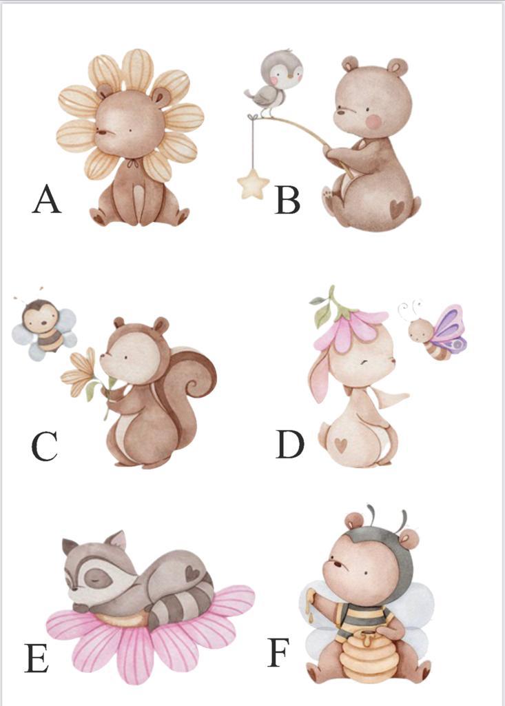 Set New Born